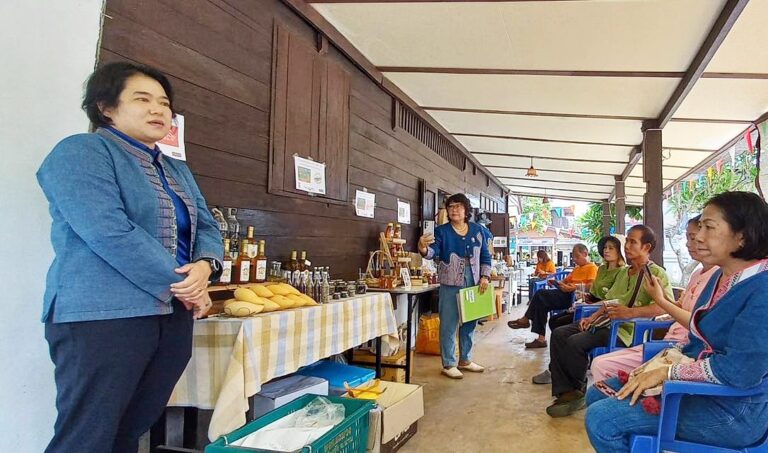 วิทยาลัยชุมชนน่าน ร่วมจัดเวทีสาธารณะสานพลัง TBMC-NAN68 แผนธุรกิจเพื่อชุมชน จังหวัดน่านน่าน